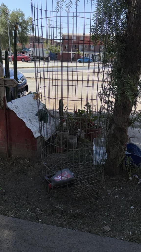 Canasto de reciclaje instalado en Condominio de Carelmapu